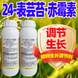 Phytosomol 24-epiycin gibberellic acid epibrassinolide lipid gibberellin plant growth regulator genuine pesticide 500g*5 bottles popular model