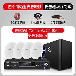 先科（SAST）吸顶式8.1家庭影院音响套装电视机家用客厅吊顶音箱3d环绕立体声嵌入式重低音功放套装蓝牙KTV 4.1（同轴重低音音响4个+低音炮+5.1功放机）
