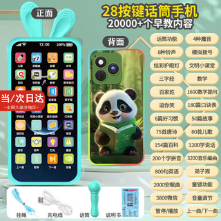 儿童手机玩具婴儿手机玩具 可咬宝宝早教机0-1-3岁防摔仿真早教机 熊猫充电款（话筒+牙胶手机套）