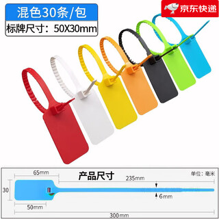 标签扎带一次性塑料封条防盗扣物流吊牌挂签电缆标识牌标牌牌定制 彩色 定制内容100条联系客服（送记号笔2支）