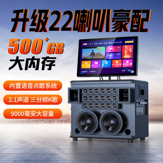 Sansui home ktv audio set dual microphone karaoke amplifier complete set for home karaoke living room professional jukebox conference room speaker karaoke c15 9000 mah 21 inches + 22 speakers