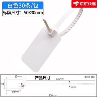 标签扎带一次性塑料封条防盗扣物流吊牌挂签电缆标识牌标牌牌定制 白白色 50条发空白少量用（送记号笔1支）