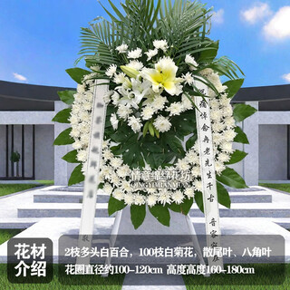 Flowers don’t say anything about ching ming festival, double ninth festival, chrysanthemum express, nationwide intra-city flower delivery, scheduled funeral wreaths, memorial memorials, jdhq06 style, 1 wreath