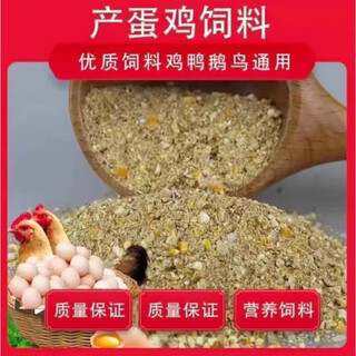 Oimg corn kernels for chicken feed, laying hens, full price feed, chicken, duck, goose, quail, 100 jin, jin equal to 0.5 kg, chicken food, 100 jin, jin equal to 0.5 kg (nationwide to towns and villages) new store opening (first