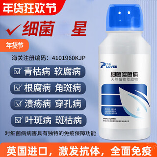 Bacteriophage bacterial wilt soft rot angular spot canker root rot perforated leaf spot medicine