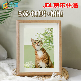 Splendid pet photo pet table printing and framing custom photo frame pet painting photo frame 5-inch wood color photo frame + photo