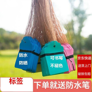 Shipton plastic sign writing waterproof mark tag label seedling plant tag gardening sign with line 4*6cm powder 100 pieces