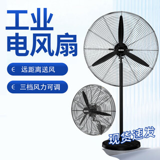 Xmsj industrial electric fan high power high wind floor fan powerful horn fan shaking head wall fan 750mm floor fan aluminum blade