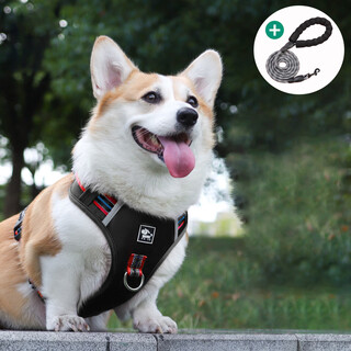Jiahuide dog leash vest style dog walking rope shiba inu corgi explosion-proof harness harness small and medium dog chain colorful black harness + 2 meter reflective dog rope m size recommended 15-30 jin jin equals 0.5 kg for dogs