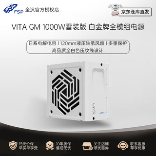 Fsp vita gm 850w atx3.1 standard full module power supply rated/hydro g 1000w native atx3.1 hydro ti pro1000w full japanese capacitor vita gm1000w white platinum full