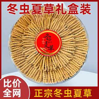 冬虫夏草（支持质检）虫草礼盒送长辈冬虫草滋补品营养品保健品 那曲虫草100条（2条1克）送3条