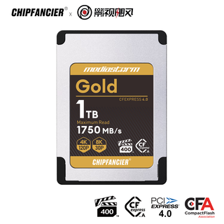 CHIPFANCIERVPG400认证A卡 CFexpress TypeA Gold CFA4.0存储卡 影视飓风联名 1TB 存储卡+USB4读卡器