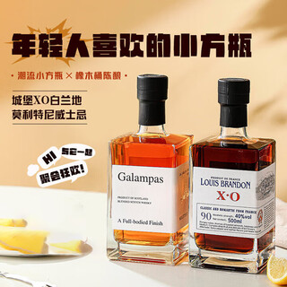 Louis brandon foreign liquor whiskey xo brandy 40 degrees 500ml two bottles of spirits bartending base square bottle combination gift set