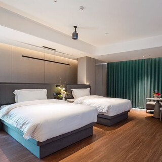 Deluxe audio and video twin room