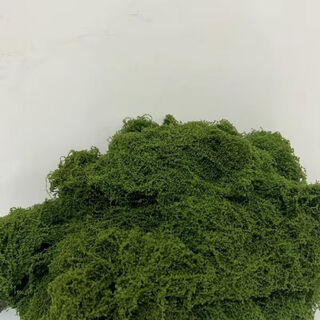 Simulated filamentous moss green micro landscape layout fake lawn fish tank landscaping rockery stone bonsai landscaping pavement dark yellow green 30g free 25g