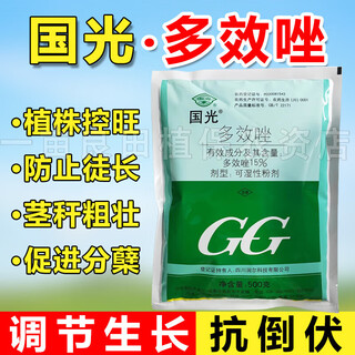 Guoguang 15% paclobutrazol succulent prevents leggy growth and promotes root development chlormequat fruit tree growth regulator 500g (full box of 20 bags)