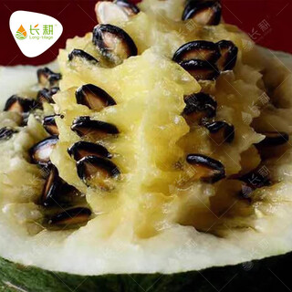 Long-cultivation black crown king melon seeds produce watermelon seeds with yellow flesh, spring and summer seasons balcony vegetable and fruit seeds collection, golden grain black feng melon seeds 20g