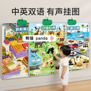 Xingzhou baby audio wall chart early education children's toy 1-3 years old baby learns speaking pinyin cognition enlightenment large point reading machine leaflet english letters