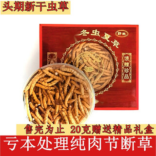 雄风道【处理断草10克】冬虫夏草 冬虫草 虫草 断草 断虫草 泡酒料 