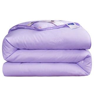 Silk quilt mulberry silk thickened winter quilt spring and autumn quilt air-conditioned quilt single double quilt core quilt skin-friendly and soft-purple 150*200cm6jin jin equals 0.5 kg