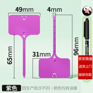 西普顿苗木花盆塑料多肉标签花卉园艺插地牌盆栽植物名字标牌防水小插牌 紫色100个（9.6cm）