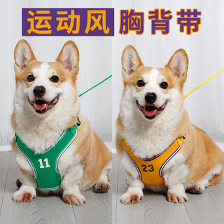 Pet-free pet harness leash dog vest style small dog corgi shiba inu dog leash for outdoor sports and walking leash warm yellow (including 1.5 meter leash) 1 piece m (chest 52-64cm) recommended 16-28 jin jin equals 0.5 kg