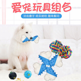 Youfan cute dog toy set teeth grinding resistance bite relieve boredom puzzle food missing ball golden retriever teddy bichon training toy ball
