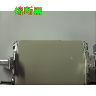 Aileliyoss fuse gg200a 1 piece