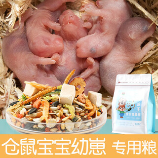 Golden bear, cang hamster, baby food, cub complementary food, feed, main food, nutrient, special vegetables for postpartum, full price, special food for dwarf cubs 500g