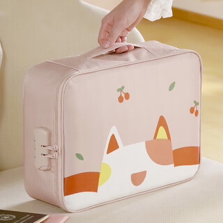 Fanye's document storage bag box household family certificate document instructions household registration book business license organizing bag box card bag