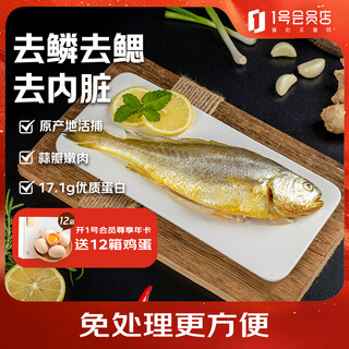Member store no. 1 ningde sanguai yellow croaker, net weight 2jin jin is equal to 0.5kg / 4 large yellow croakers, deep sea fish, frozen seafood and aquatic products, fresh