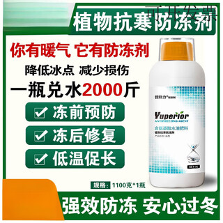 Plant antifreeze, cold and antifreeze water-soluble fertilizer, antifreeze for fruit trees and vegetables, general foliar fertilizer for crops, antifreeze, australian brand 1100g*12 bottles
