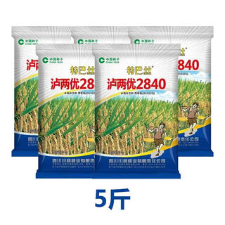 Одобренные на национальном уровне семена гибридного риса со стабильной урожайностью, оригинальные саженцы шелка второго уровня zhenglu liangyou, семена длиннозерного ароматного риса 5jin jin, равный 0,5 кг, shanghai liangyou 2840