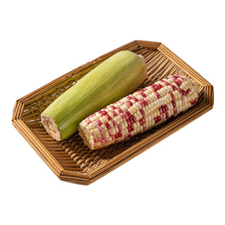 Stewed season waxy corn 600g