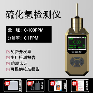 Plystone pump-type gas detector combustible oxygen carbon monoxide hydrogen sulfide explosion-proof intelligent alarm detector hydrogen sulfide/0-100ppm aluminum alloy