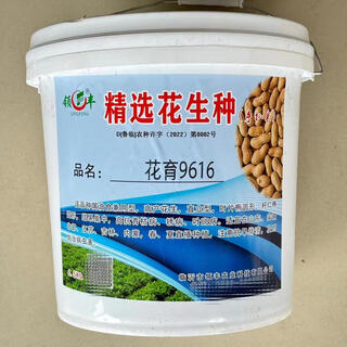 Huayu 0 семена арахиса раннеспелые Архат тонкокожие huayu 9616 оригинальные семена арахиса с высоким выходом масла и пищевого использования huayu 9616 оригинальные 13 jin jin равные 0,5 кг