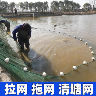 Guangtai drag net, drag net, fish net, fish net, scraper net, hold net, clear the pond, catch big fish, separate net, seine net, fish pond blocking net, 2 meters high, 10 meters long, 2 fingers, 9 strands thick, weighted fall