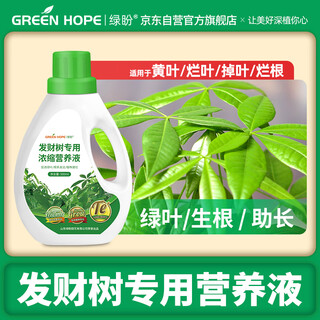 Lupan special nutrient solution fertilizer for money trees to prevent and control yellowing leaves, falling leaves and root rot, hydroponic indoor living room soil plants