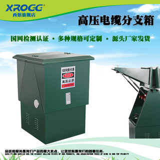 Xirong 10kv high voltage cable branch box dfw-12/630 european copper bar branch box one in, two in, three out and four out iron dfw-10* cold rolled iron one in and one out