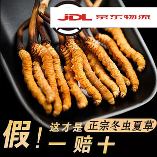 放山官原料官方店i旗舰虫草冬虫夏草头期正宗虫草泡酒整草干货送礼品 2根1克虫草王级1根【真空包装 锁住精华】【礼1