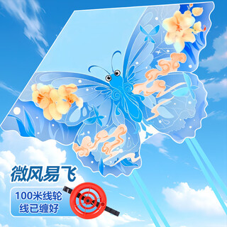 稀萌物风筝儿童成人潍坊大型蝴蝶风筝儿童玩具男孩女孩户外玩具
