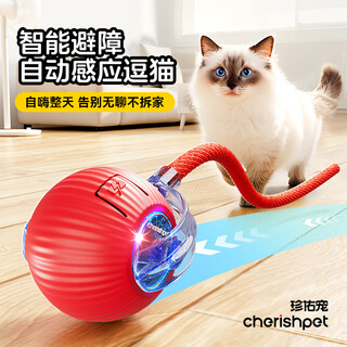 Zhenyou pet cat toy self-entertainment and relief from boredom intelligent cat funny ball automatic cat funny stick walking cat and dog tug ball electric rolling ball
