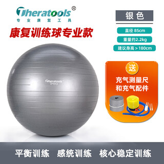 Theratools pasteur ball rehabilitation training yoga ball 55cm balance ball explosion-proof fitness adult pregnant women dragon ball children's sensory system silver professional model 85cm suitable for sensory training
