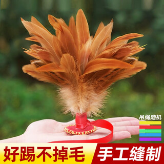 Bibiqi handmade feather shuttlecock for children and primary school students competition shuttlecock sports special adult shuttlecock shuttlecock fitness key
