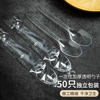 Pick up paintings disposable thickened spoons individually packaged crystal clear spoons 50 pieces sh-2249