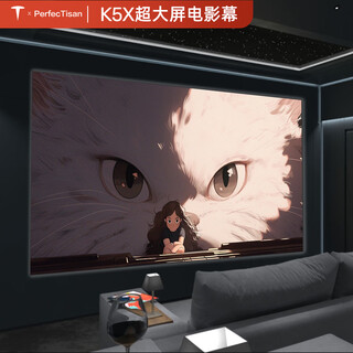 perfectisan钉子科技K5X投影幕布抗光超窄边支持高清100/120寸壁挂画框幕极米坚果当贝明基爱普生家用投影 K5X新涂层抗光【仅支持吊装正投】 110英寸【16:9】送安装