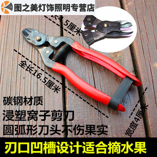 Junmo scissors, fruit picking scissors, citrus scissors, orange picking pepper fruit scissors, fruit tree scissors, grape vegetable and fruit scissors, fruit picking plastic dipped nest scissors