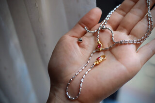 Remnant immortal shadow spirit snake natural ruby tanzanite s925 silver necklace tanzanite pendant ruby universal spirit snake chain