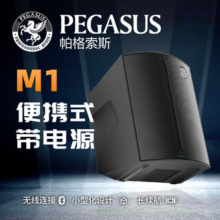Pagosos pegasus multi-functional acoustic guitar speaker m1 professional portable rechargeable street singing speaker