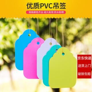 Shipton 100 piezas de etiquetas de plantas de plástico de color pvc para flores y plantas en macetas de jardinería, pequeñas etiquetas colgantes para plántulas y suculentas, 4,5 x 3 cm, blanco/100 piezas en un paquete